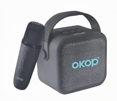 1200mah Portable Kids Mini Karaoke Machine Karaoke Speaker - Black