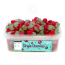 Candycrave Single Cherries Tub 600g