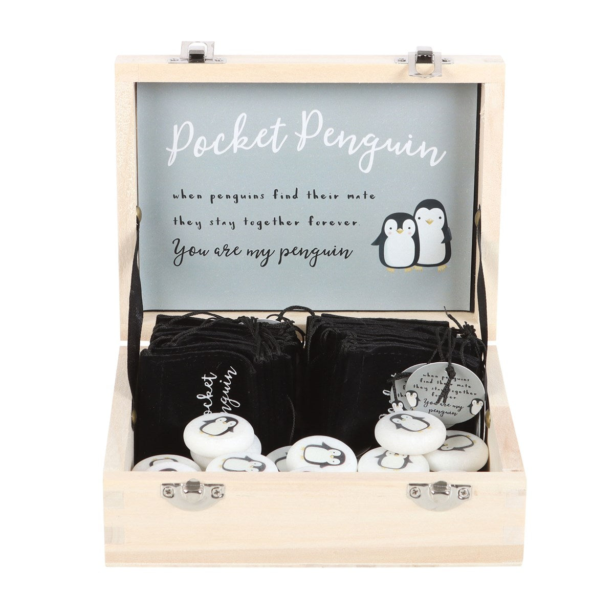 Box of 24 Pocket Penguin Marble Keepsake Stones