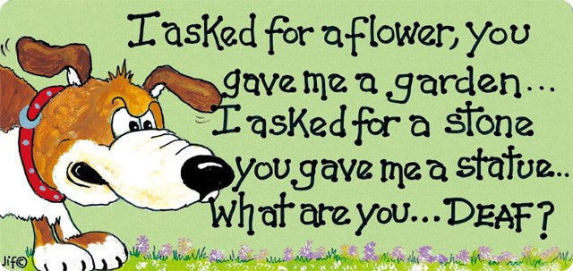 I Asked For A Flower