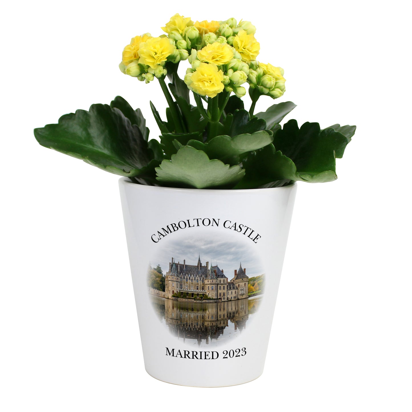 Bespoke Design Ceramic Flower Pot