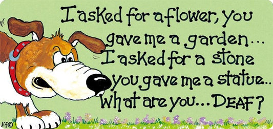 I Asked For A Flower