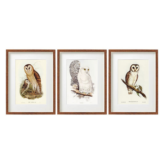 40cm Framed Owl Wall Art