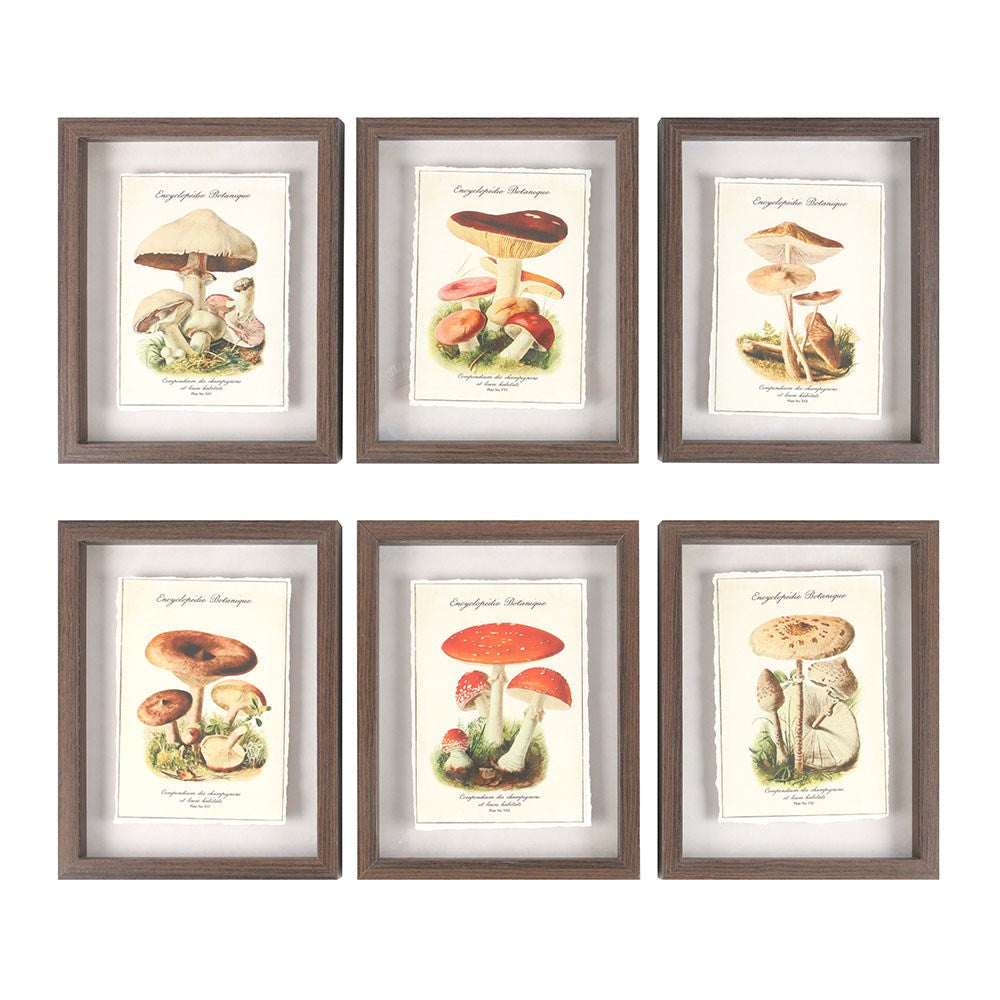 Mushroom Shadow Framed Wall Art Print