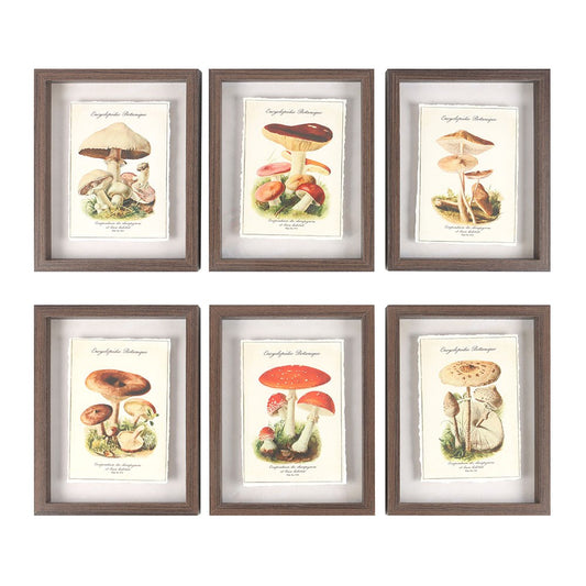 Mushroom Shadow Framed Wall Art Print