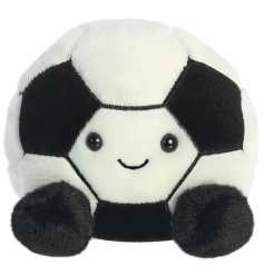 Personalised various plush teddys