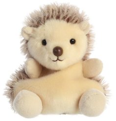 Personalised various plush teddys